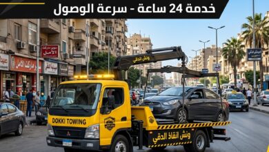 ونش انقاذ الدقي